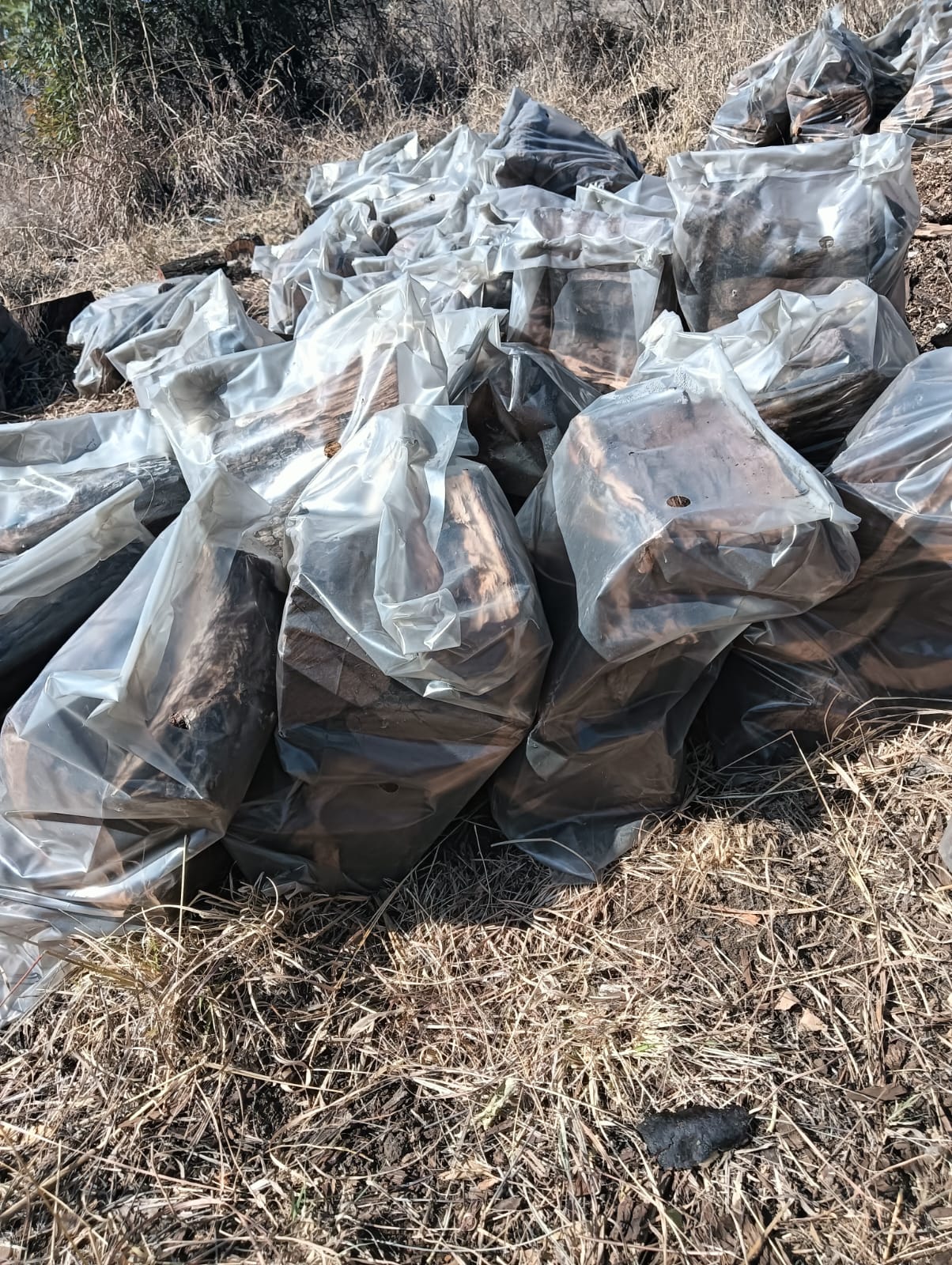 Hardekool Wood 8kg