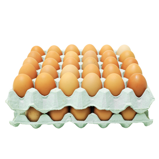 Large Eggs Tray